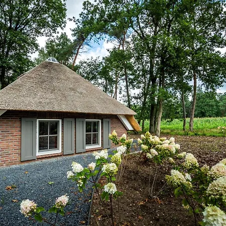 Country Estate Sprielderbosch 38 De Houten Uil Ferienhaus Garderen
