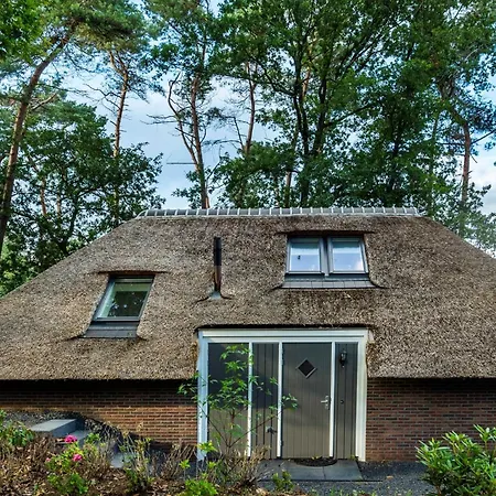 Country Estate Sprielderbosch 38 De Houten Uil Ferienhaus